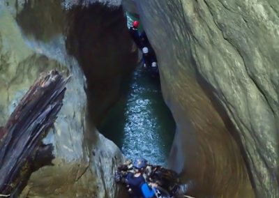 Saut possible depuis la souche