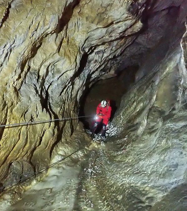 dentdecrolles_glazannette