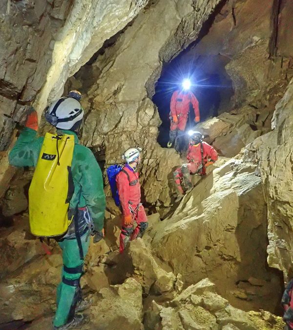 dentdecrolles_glazchevalier