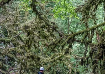 canyoning vercors versoud valence lyon isère toboggan